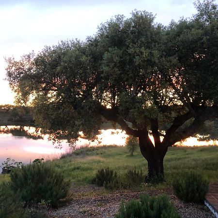 Fontes - A essência do Alentejo com lago privado Redondo Exterior foto