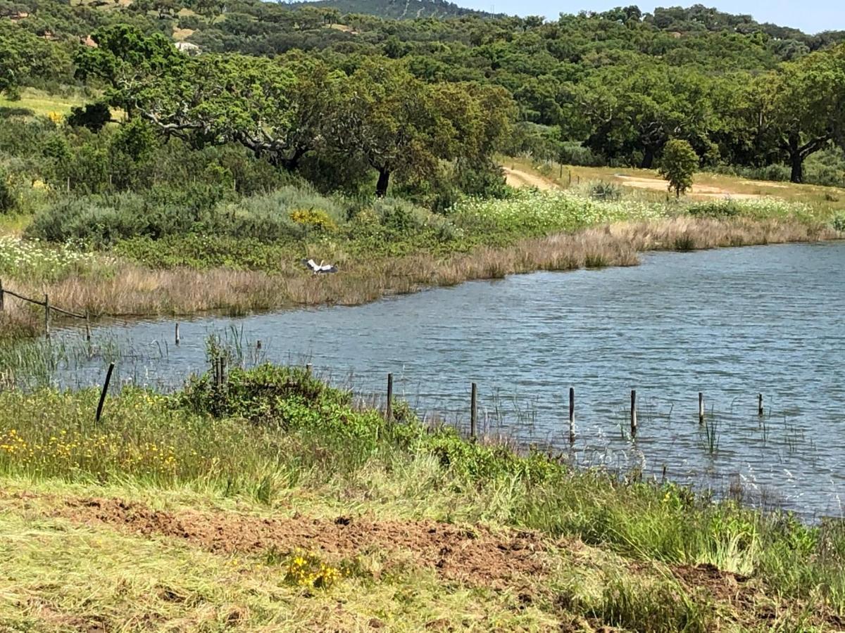 Fontes - A essência do Alentejo com lago privado Redondo Exterior foto