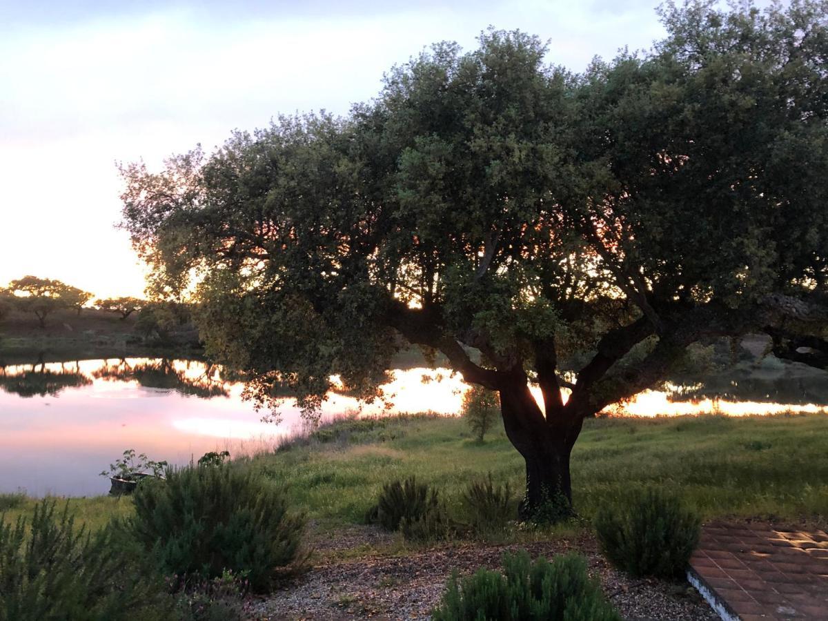 Fontes - A essência do Alentejo com lago privado Redondo Exterior foto