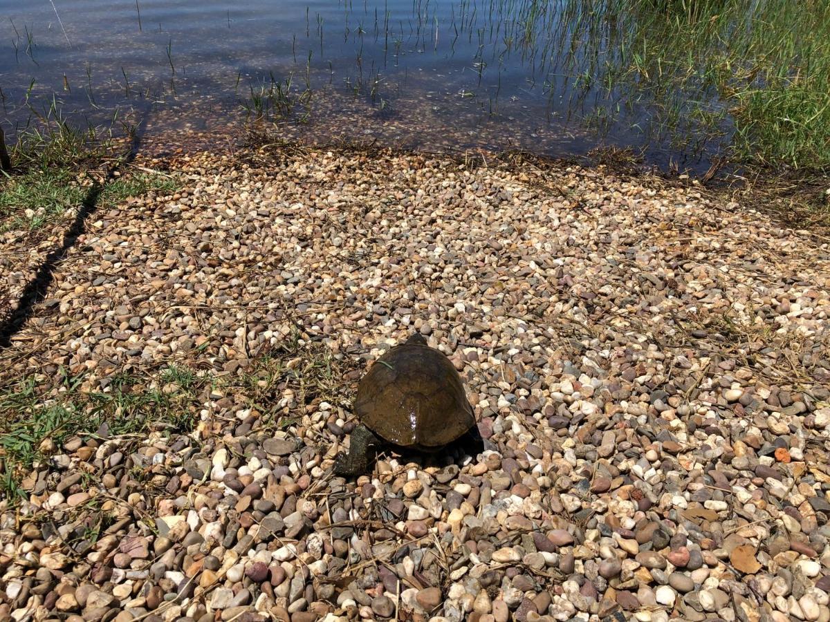 Fontes - A essência do Alentejo com lago privado Redondo Exterior foto