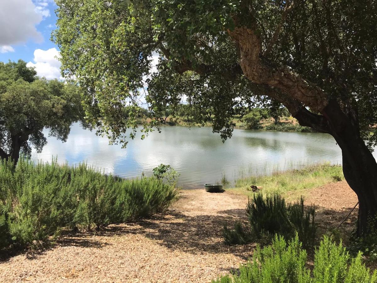 Fontes - A essência do Alentejo com lago privado Redondo Exterior foto